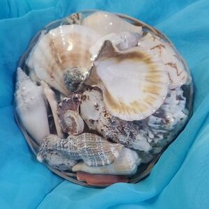 Decorative Seashell Basket